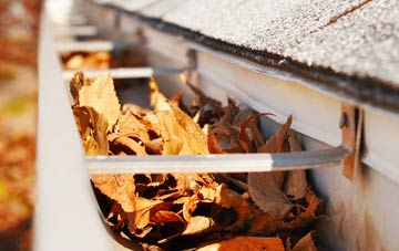 Roker gutter cleaning companies