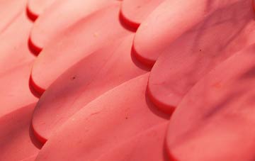 Roker plastic roof costs