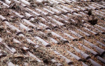 Roker roof cleaning companies