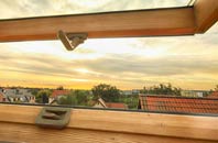 rated Roker roof window companies